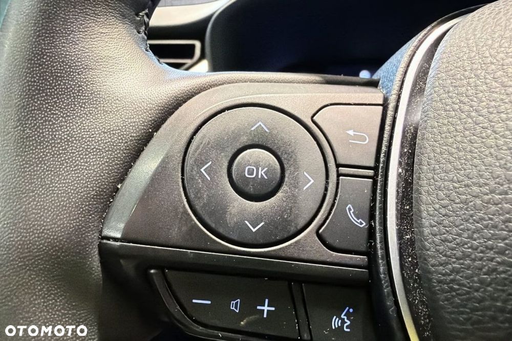 Toyota RAV4 Hybrid Style 4x4 - 17