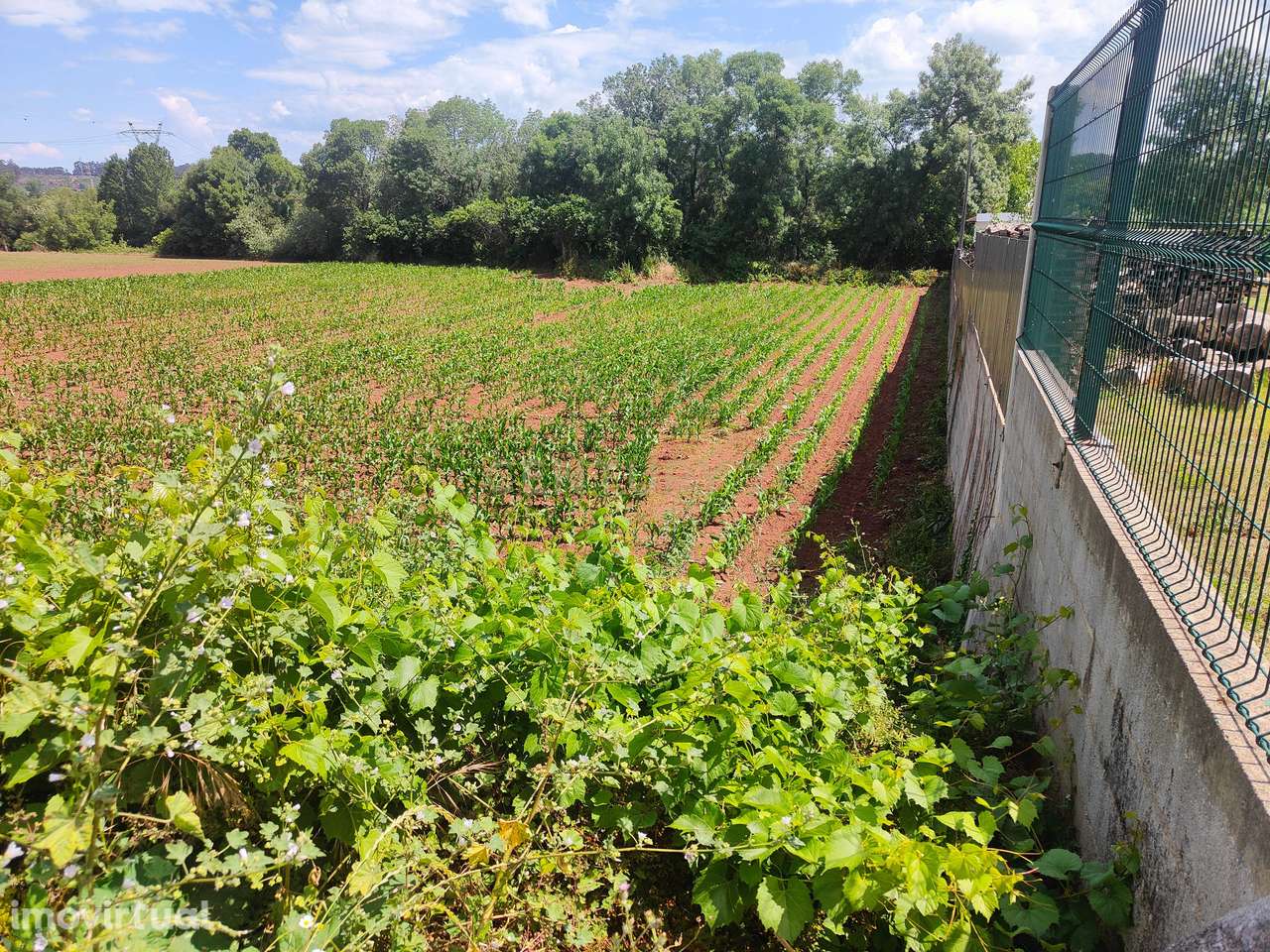 Terreno rústico - Grande imagem: 3/7