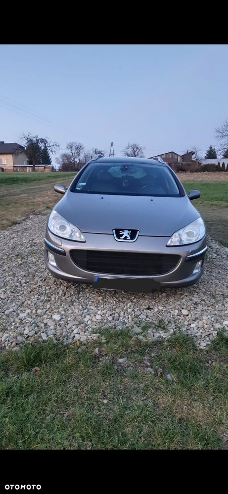 Peugeot 407 - 7