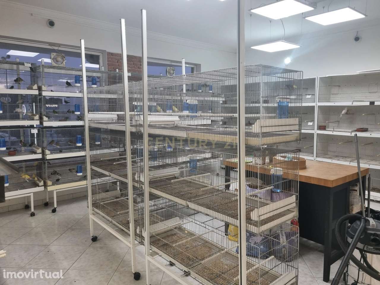 Trespasse de Loja de Animais - Grande imagem: 3/19