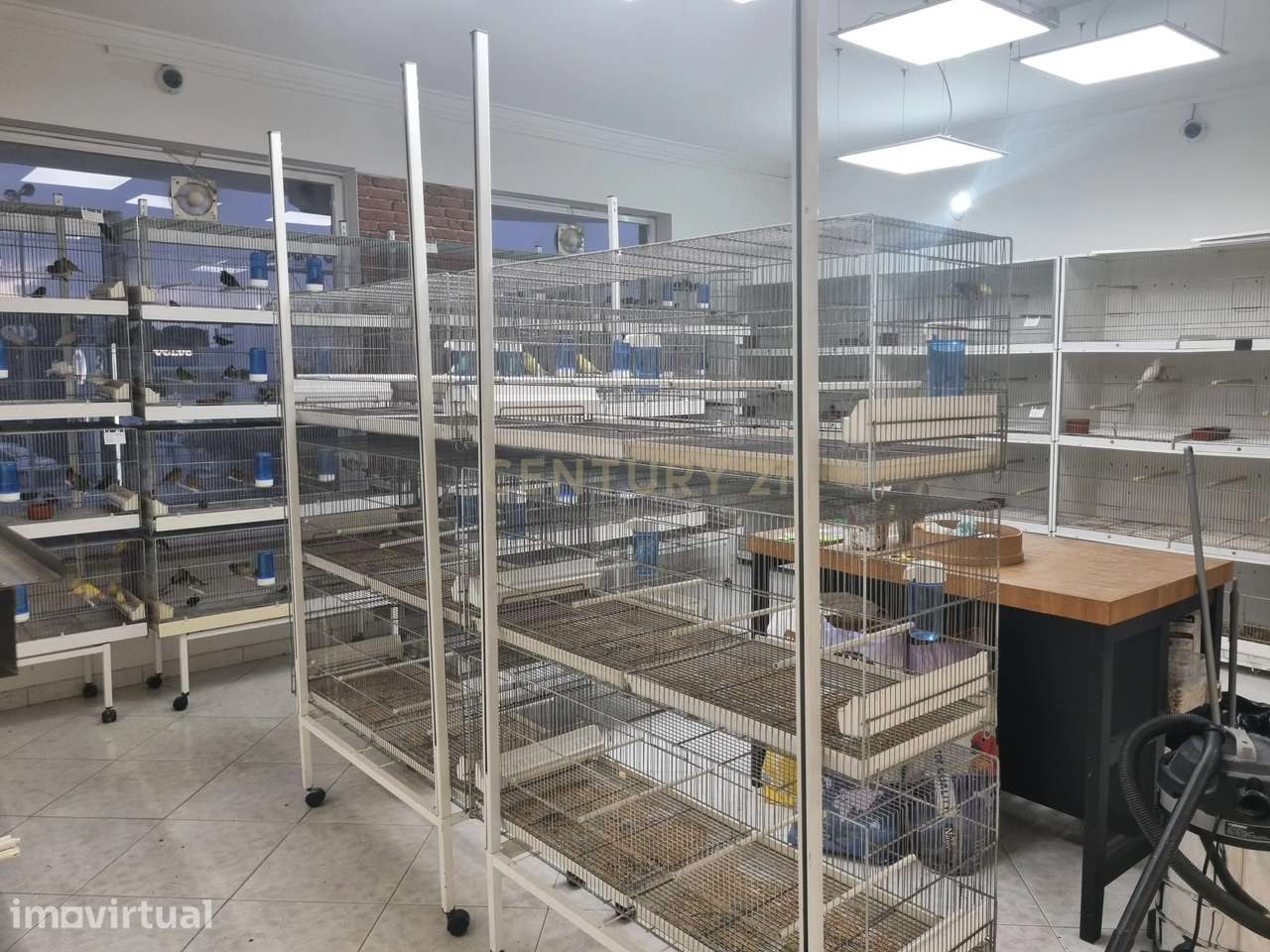 Trespasse de Loja de Animais - Grande imagem: 3/19