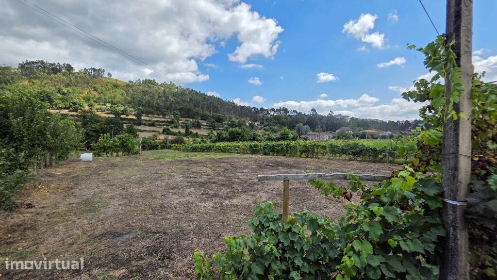 Terreno - Mosteiro - Grande imagem: 2/6