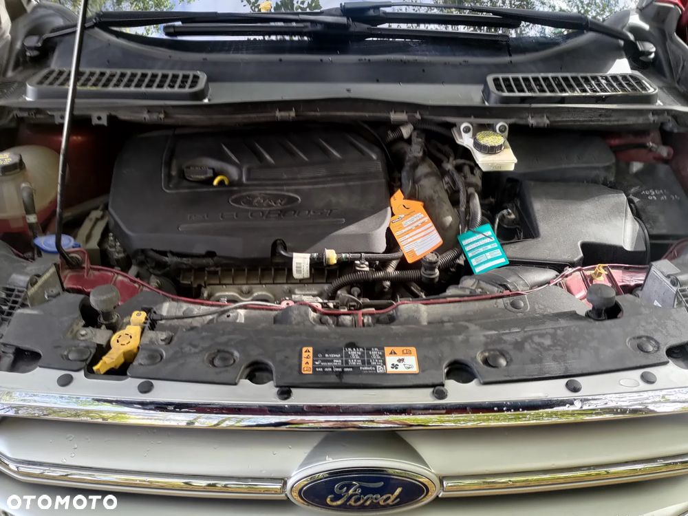 Ford Escape 1.5 EcoBoost AWD SE - 7