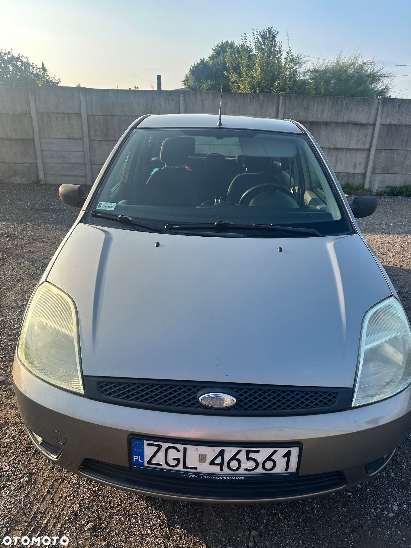 Ford Fiesta - 1