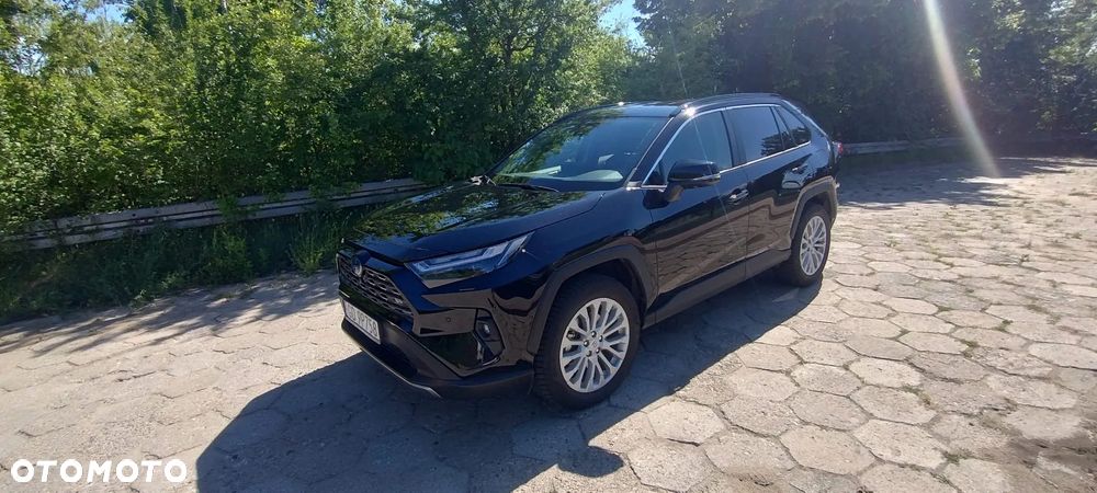 Toyota RAV4 2.5 Hybrid Executive 4x2 - 2