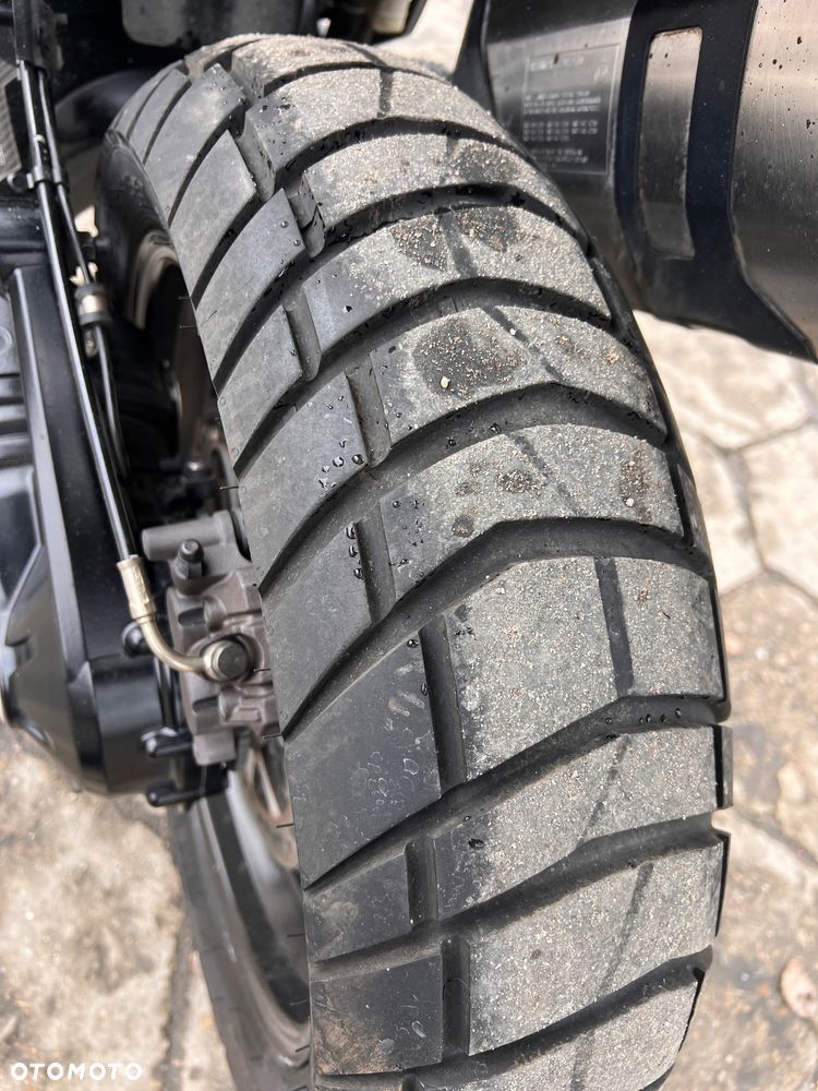 Triumph Tiger - 24