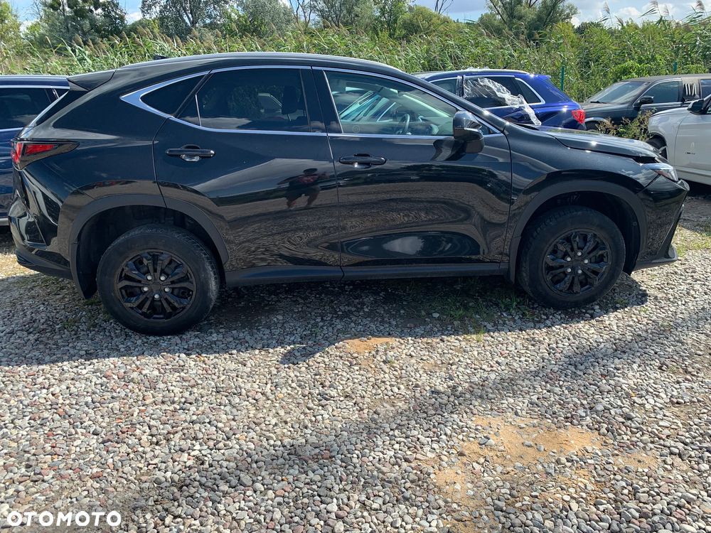 Lexus NX - 2