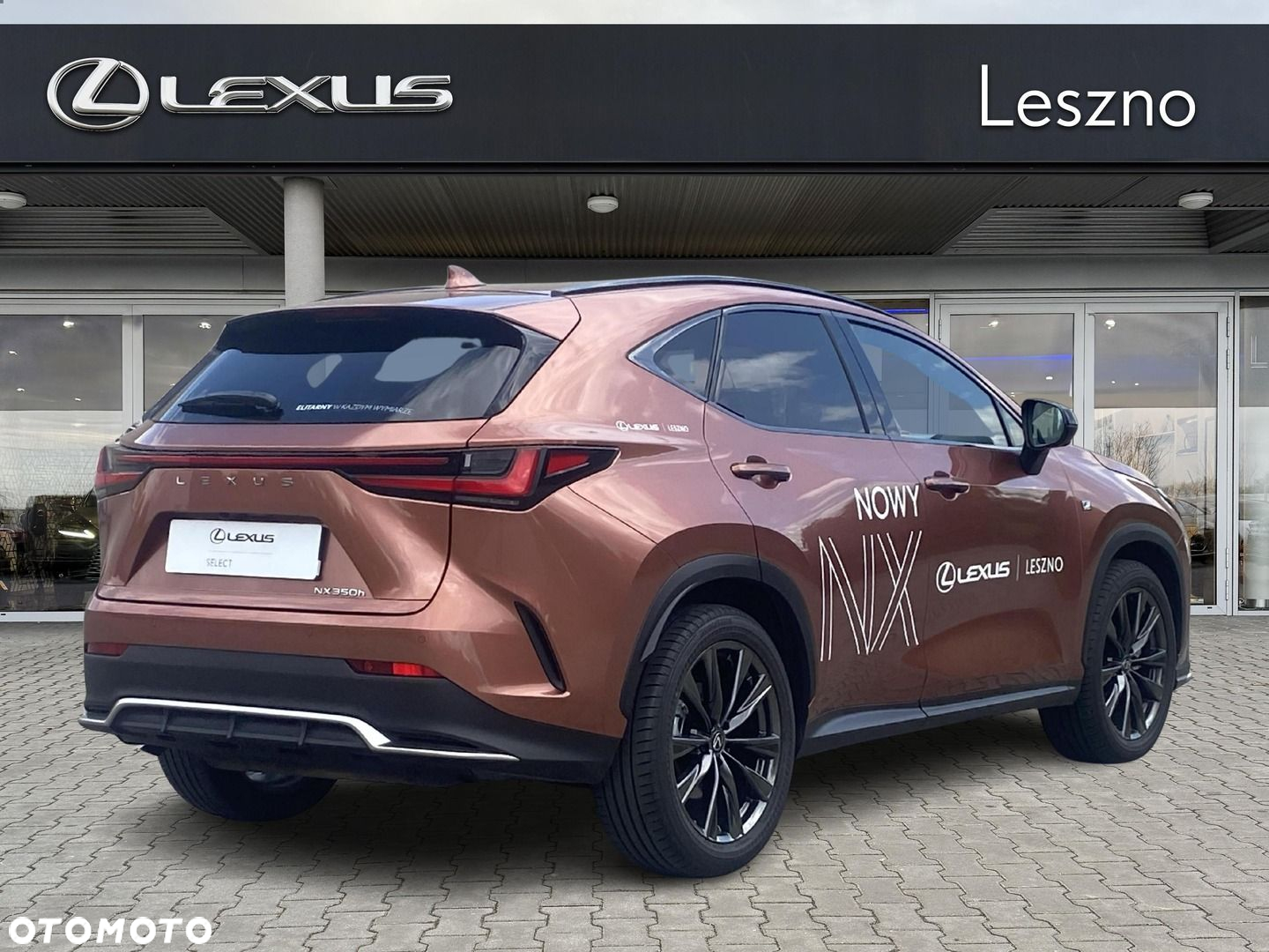 Lexus NX - 6