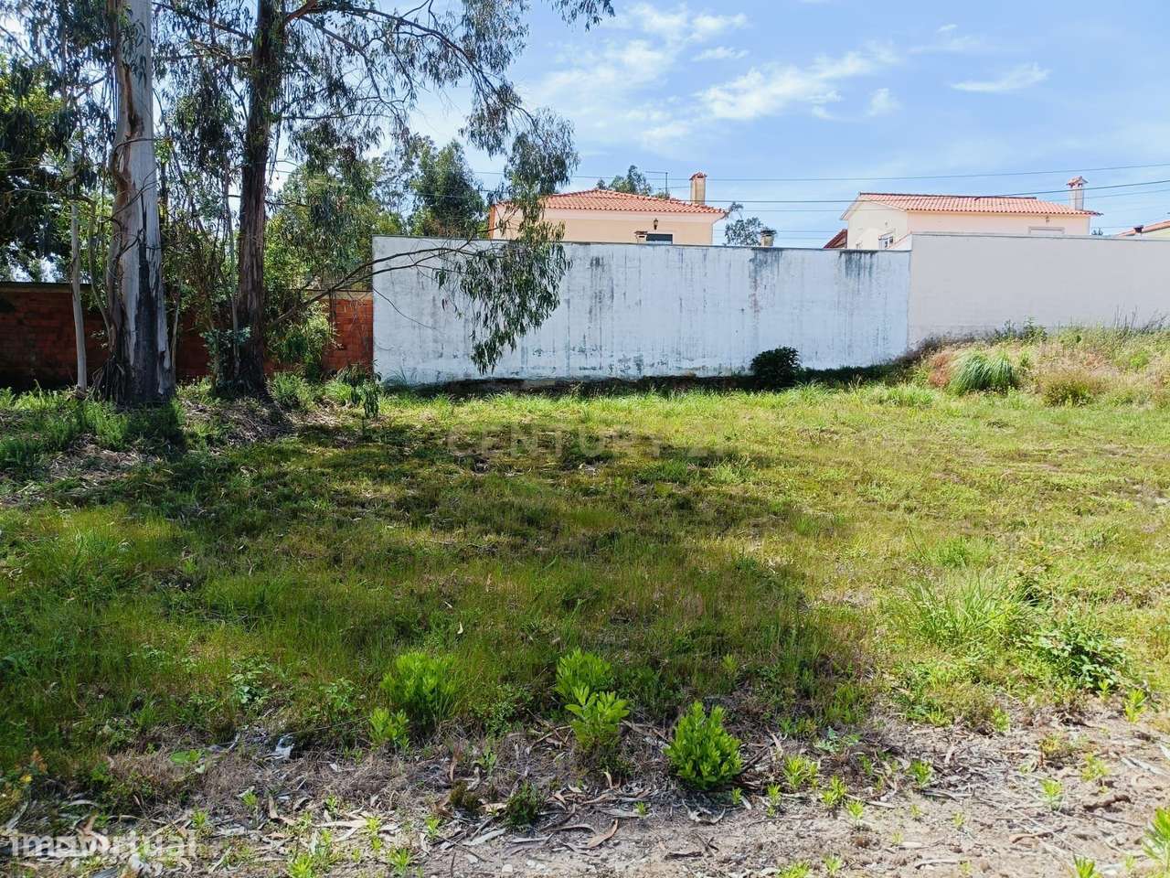 Terreno Urbano em Mamodeiro – Excelente Oportunidade de Construção - Grande imagem: 2/8