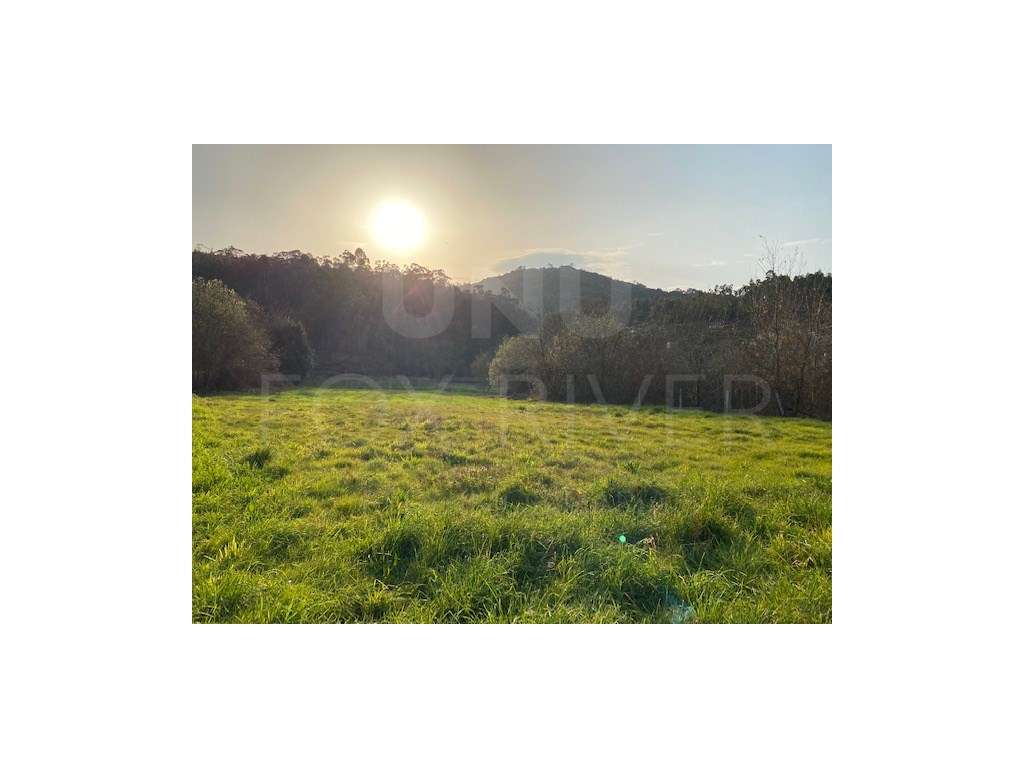 Terreno Agrícola - Subportela - Grande imagem: 5/7