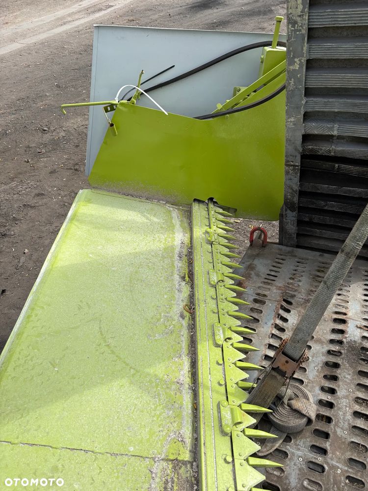 Claas Stół Do Rzepaku 7,3m - 3