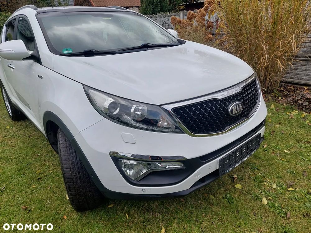 Kia Sportage - 1