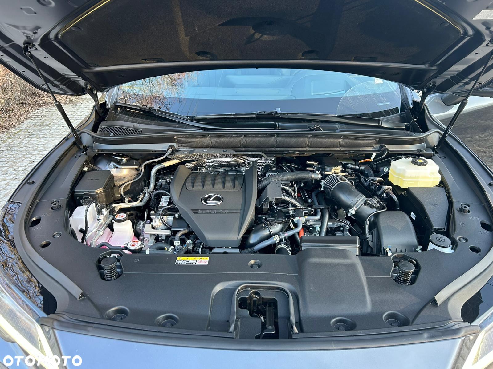 Lexus RX 500h F Sport - 32