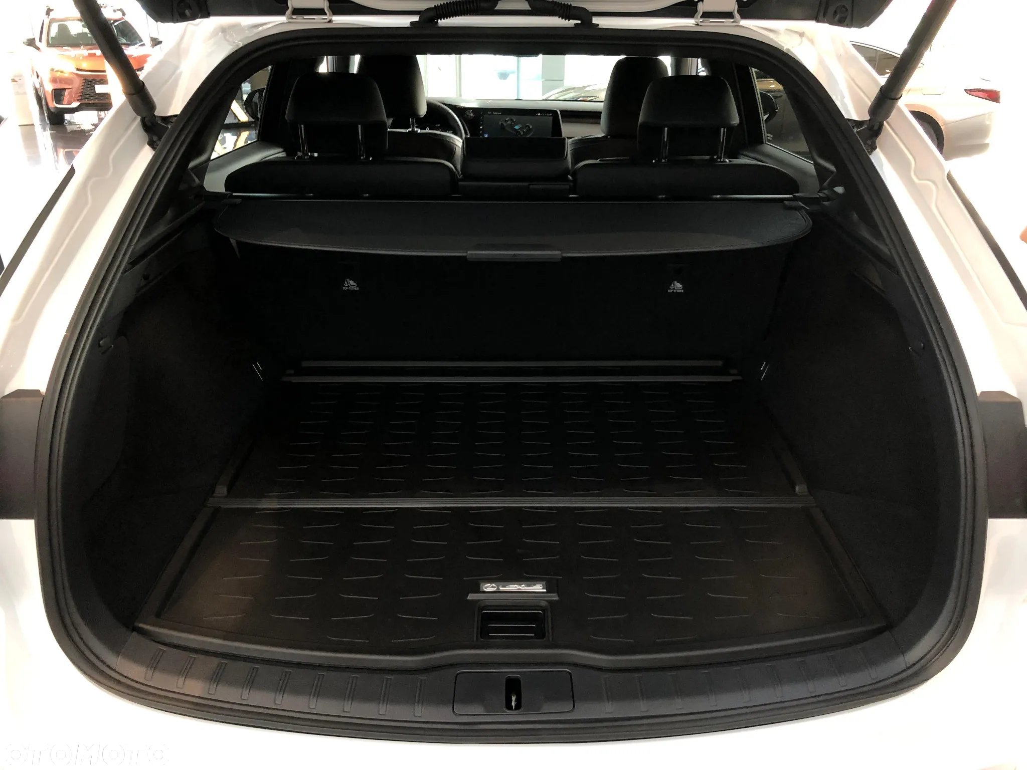 Lexus RX 350h F Sport Design - 8