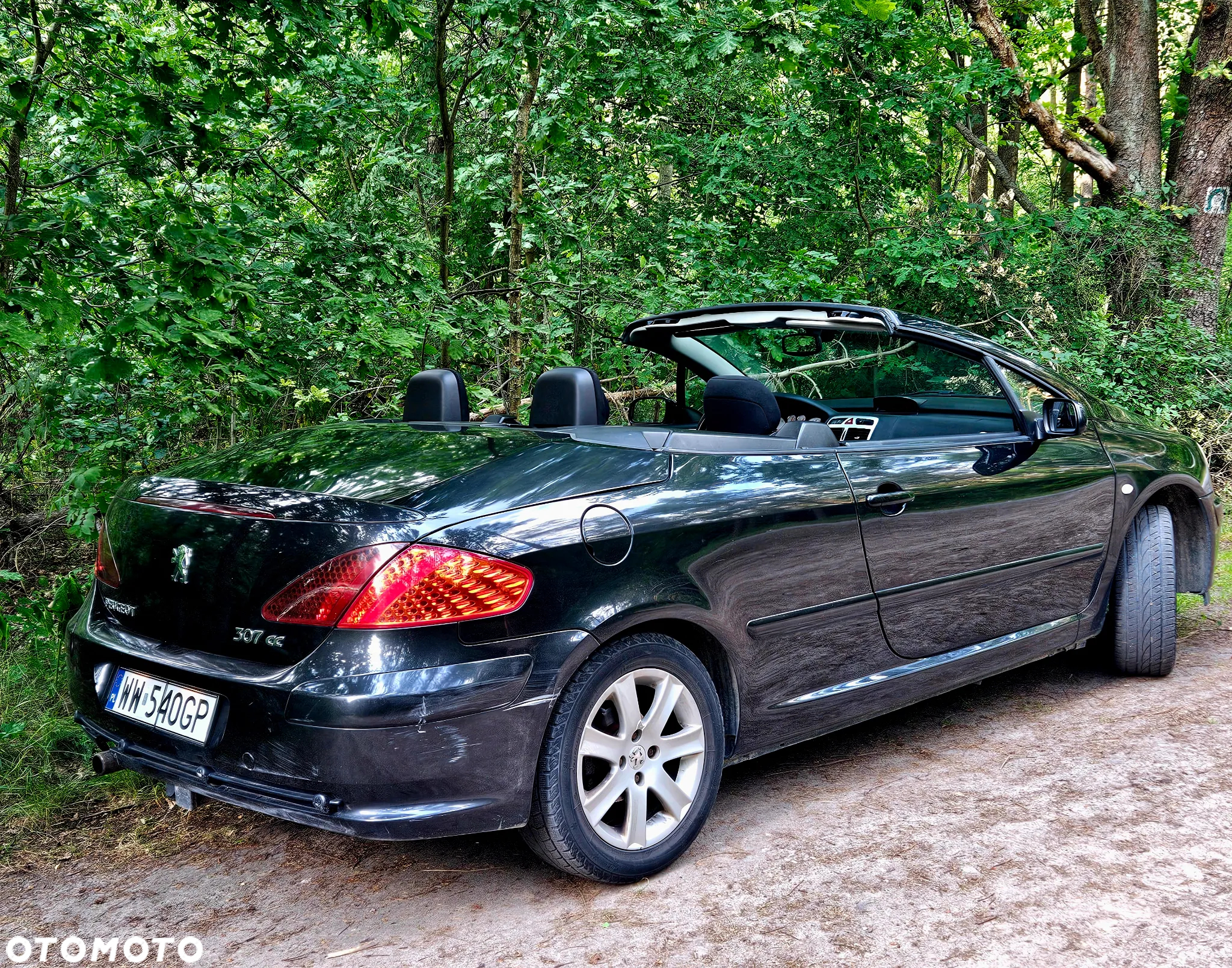 Peugeot 307 CC - 15