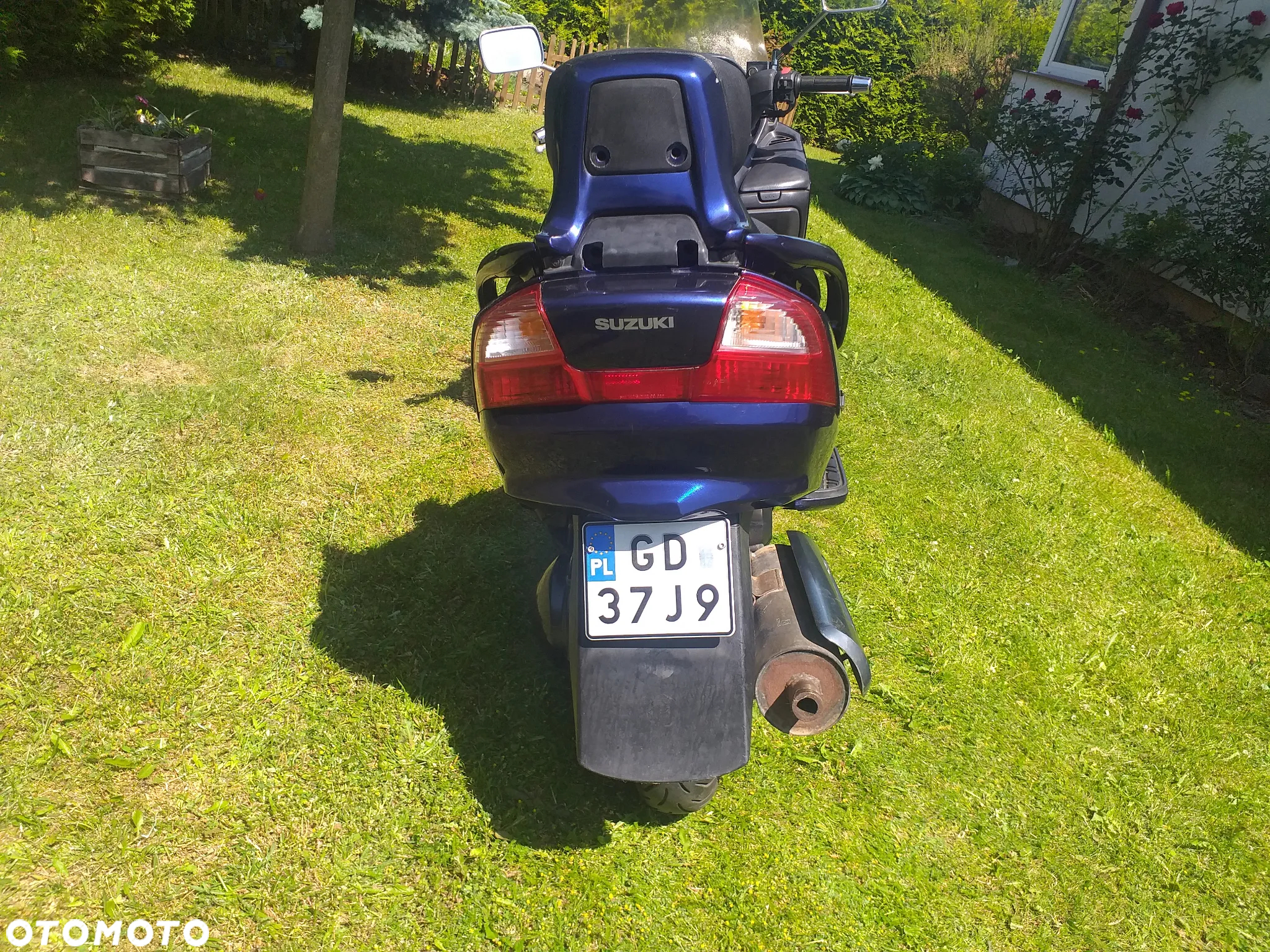 Suzuki Burgman - 7