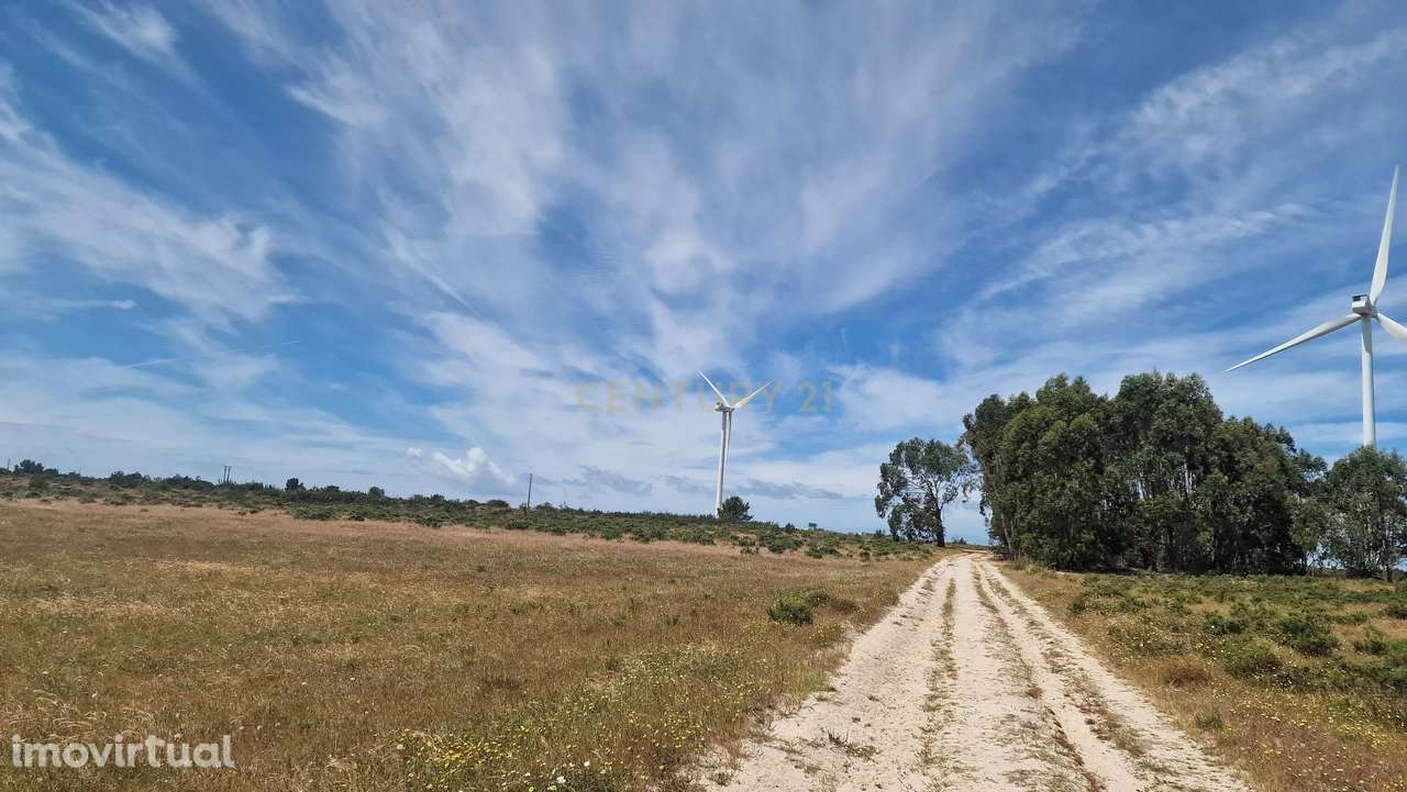 Terreno Rustico com 5000m2 em Vila do Bispo - Grande imagem: 4/7
