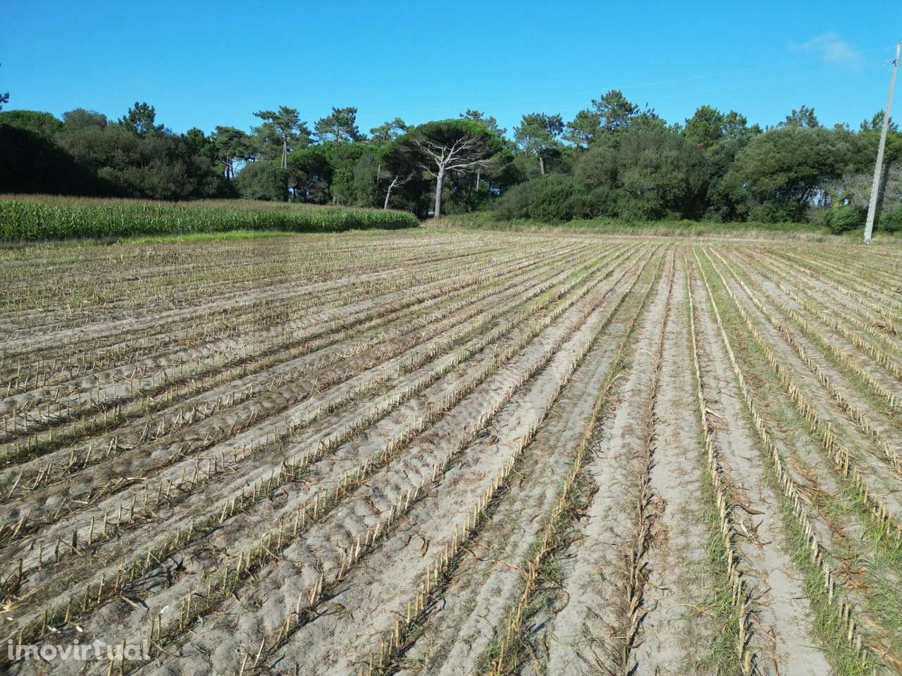 Terreno Rústico com 2,5 Hectares | Zona do Rio Alto – Estela, Póvoa de - Grande imagem: 4/24