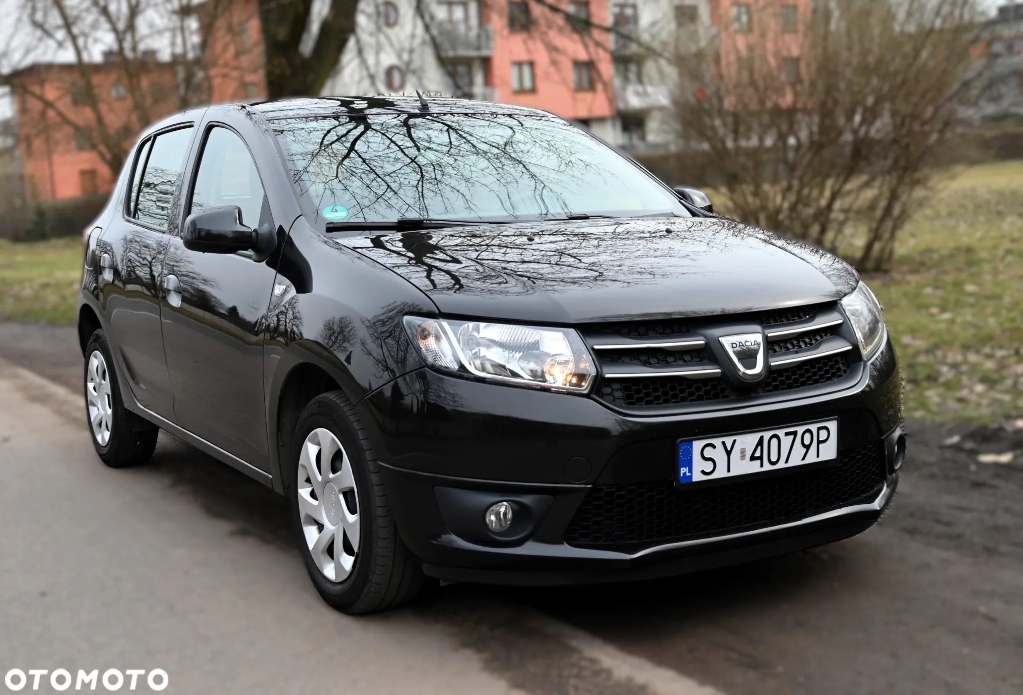 Dacia Sandero - 1