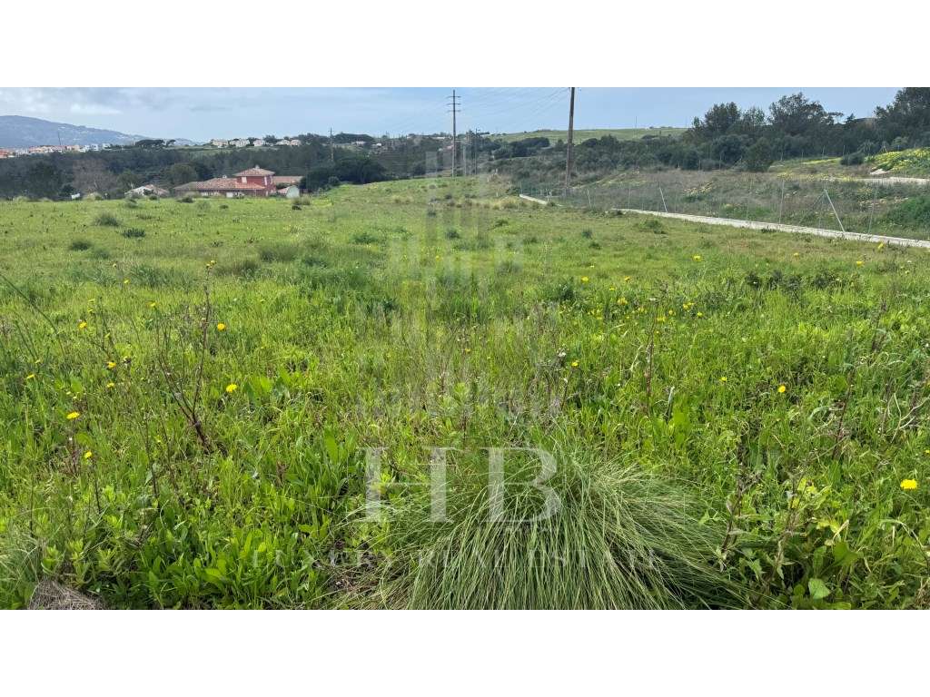 Lote para Construção |Casal da Granja |Sintra - Grande imagem: 5/22