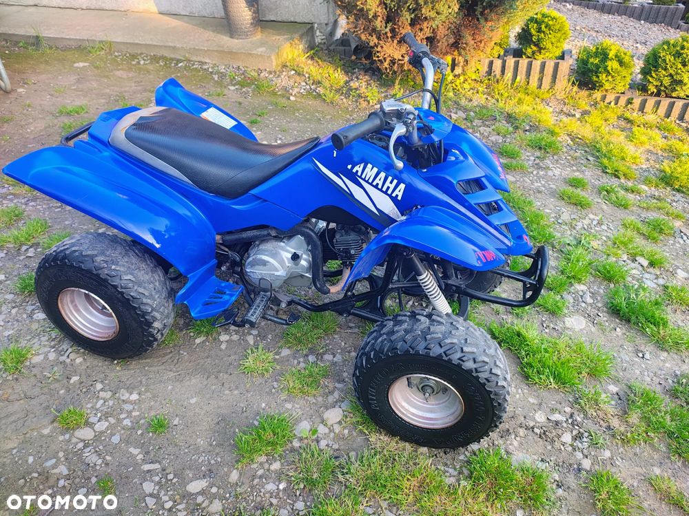 Yamaha Raptor - 8