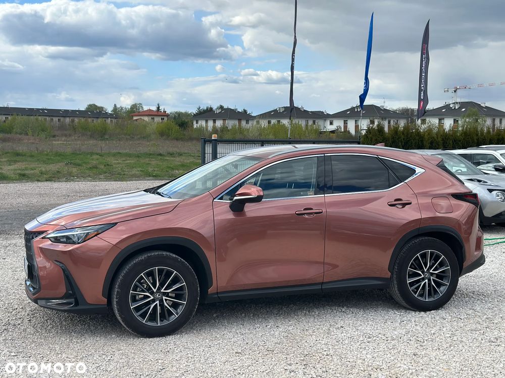 Lexus NX 350h Prestige 2WD - 3