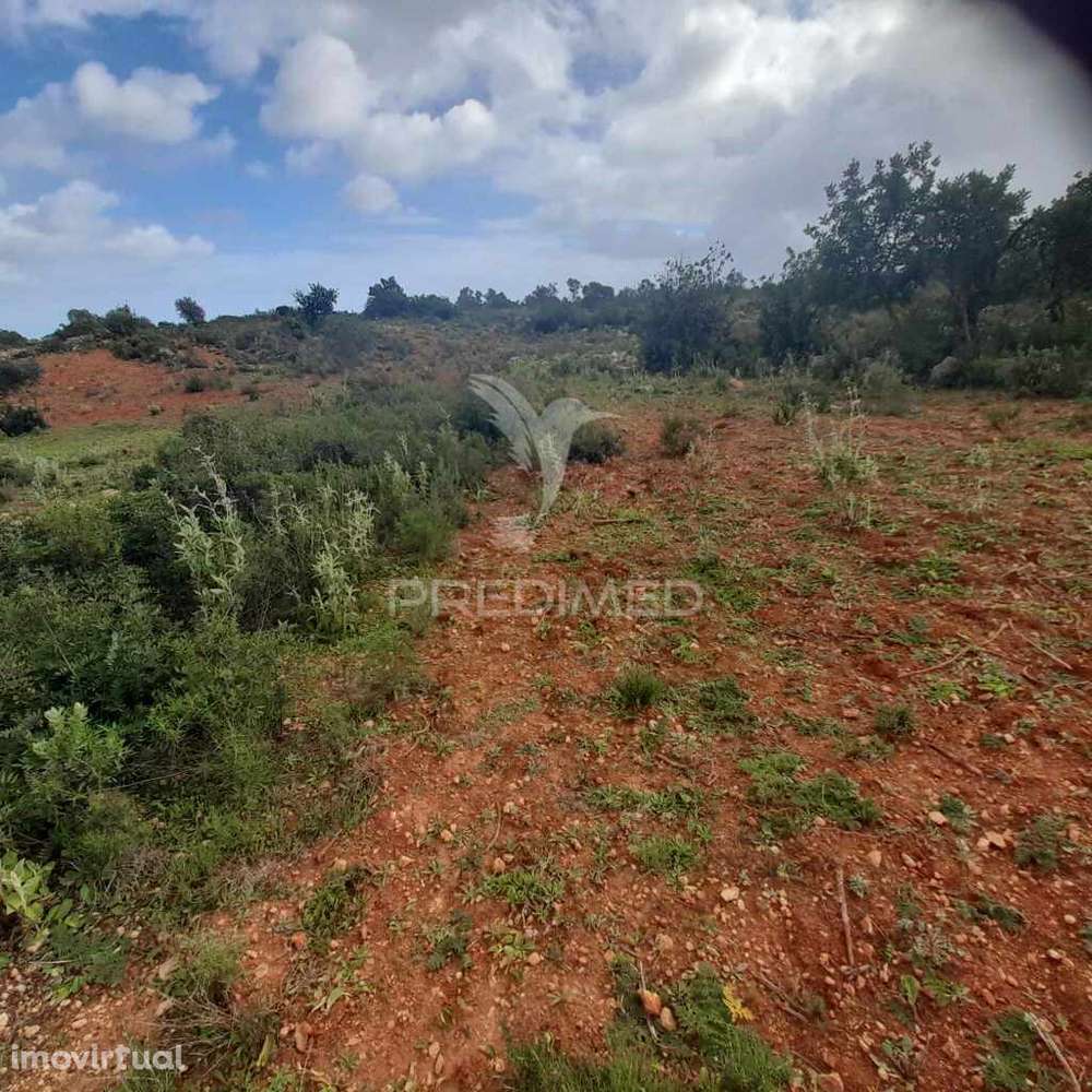 4 terrenos Rústicos  Alecrineira-Cerro Azul - Grande imagem: 3/11