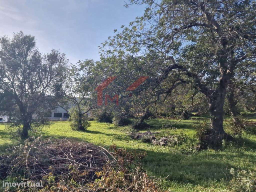 Terreno urbano para construção - São Brás de Alportel - Grande imagem: 2/17