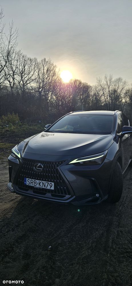 Lexus NX 350h Prestige AWD - 7