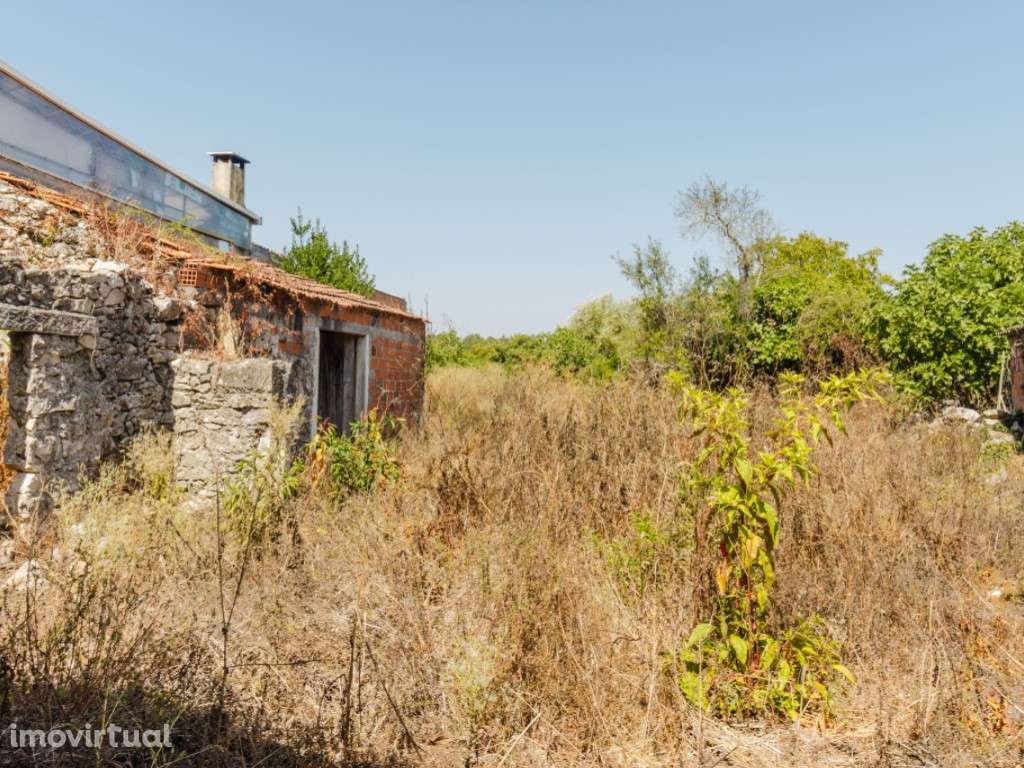 Moradia T3 por recuperar - Grande imagem: 4/13