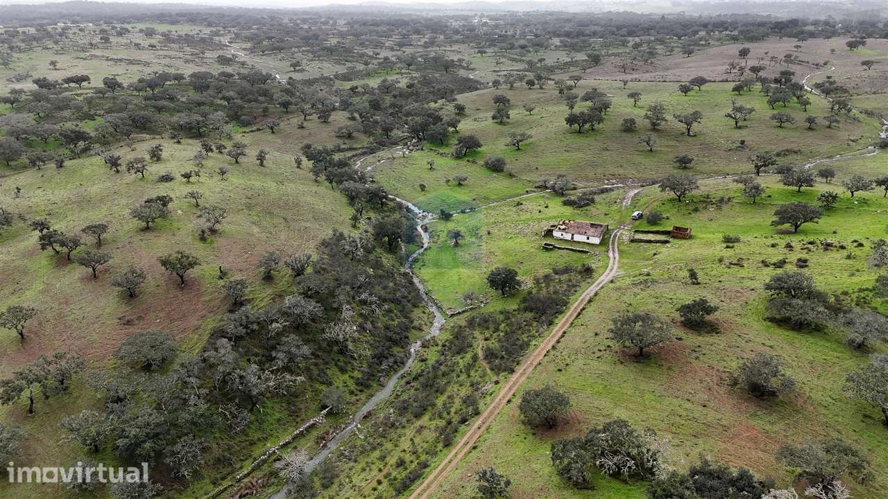 Terreno Misto T4 Venda em Ourique,Ourique - Grande imagem: 5/31
