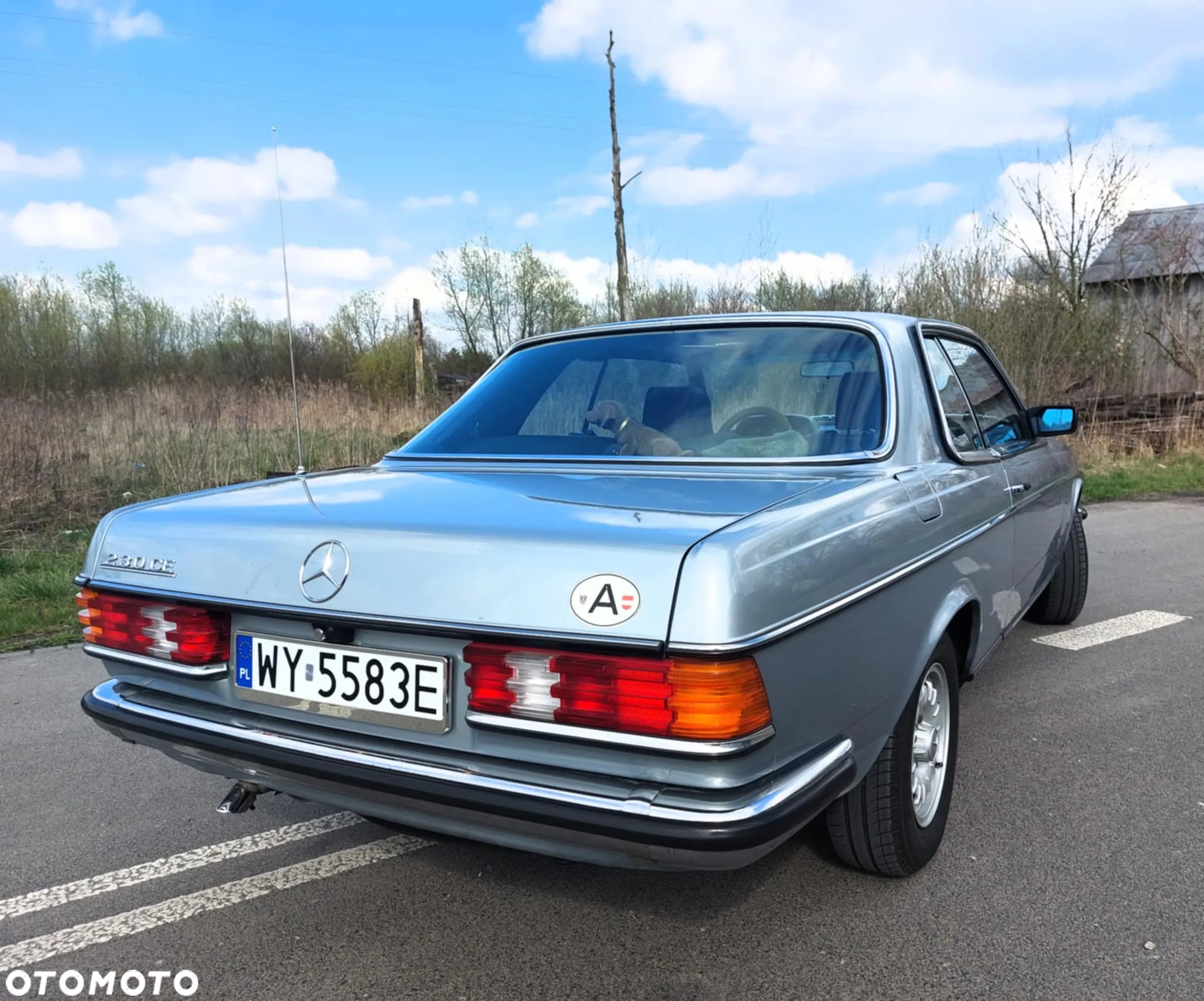Mercedes-Benz W123 - 6