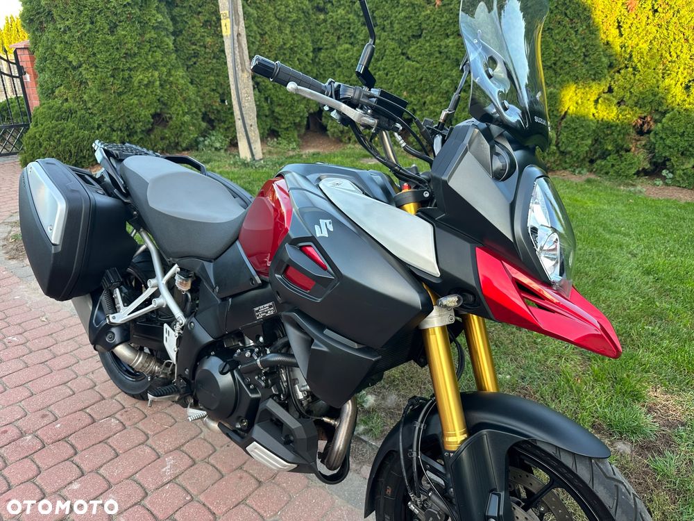Suzuki DL - 21
