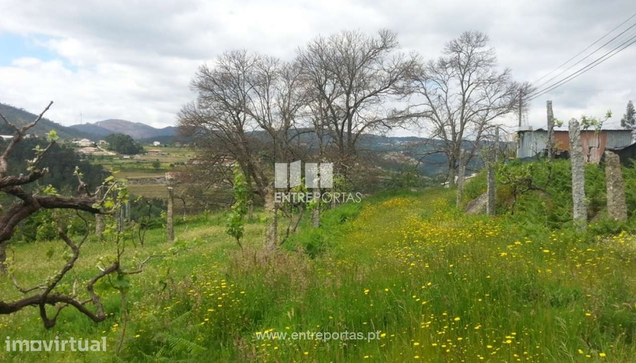 Venda Terreno, São Martinho de Sardoura, Castelo de Paiva - Grande imagem: 3/6