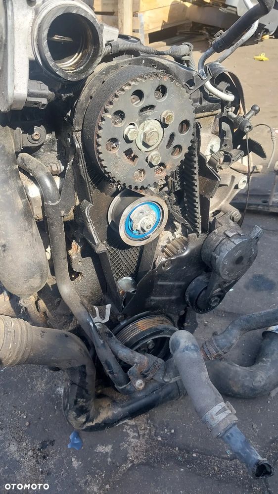 Silnik 1.9 Tdi 105 KM BJB BKC BXE BRU AVQ BXF NA CZĘŚCI GŁOWICA Tłok wał korbowód wałek rozrządu pokrywa miska olejowa rura dolotowa koło wałka pasowe magistrala wody pompa paliwa wtryskowa vacum EGR zawór - 4