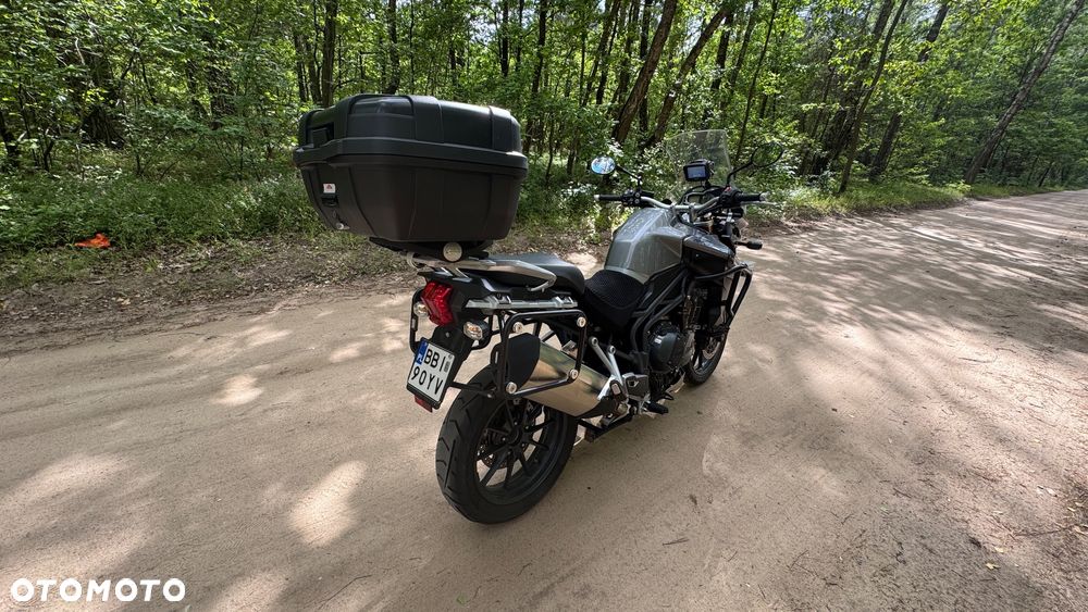 Triumph Tiger - 6