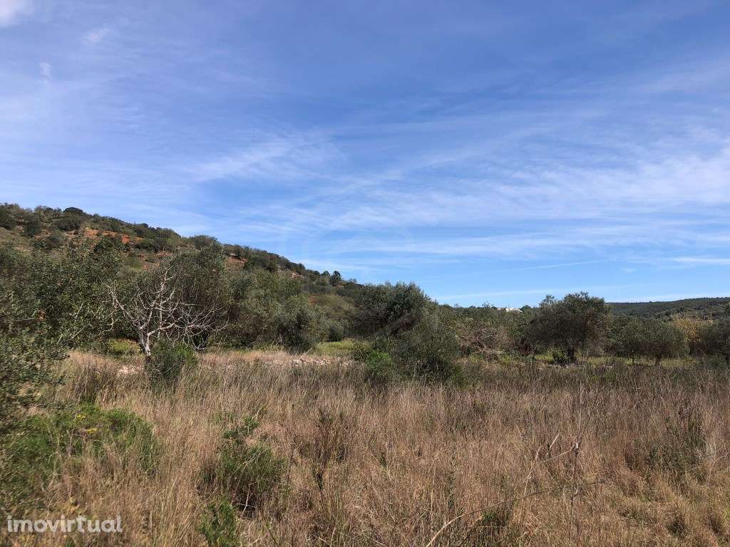 Lote de terreno rústico, Loulé, Algarve - Grande imagem: 3/11