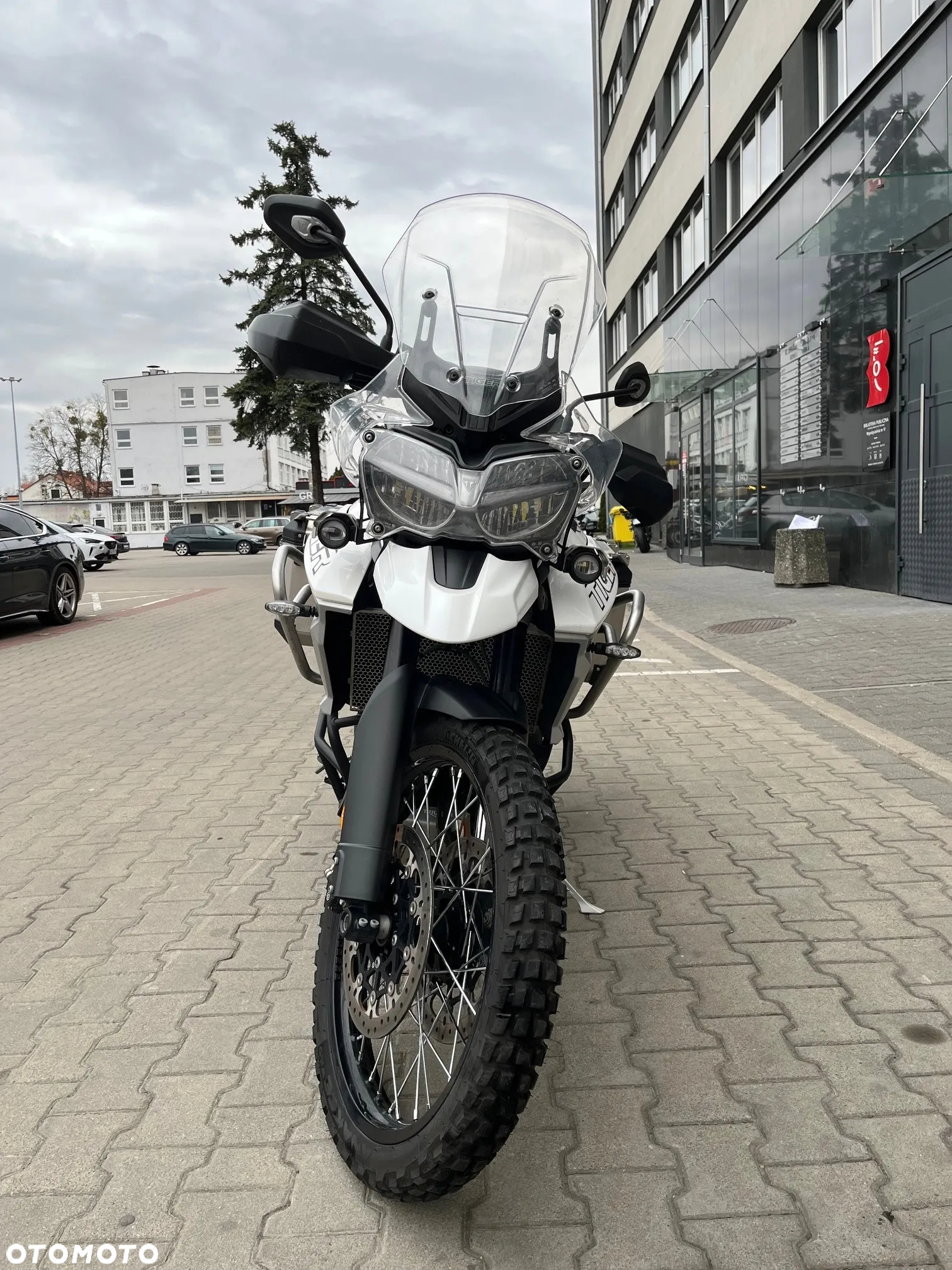 Triumph Tiger - 3