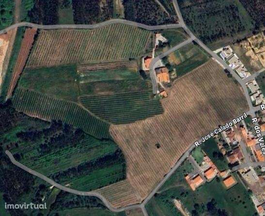 INVESTIMENTO ESTRATÉGICO NA NAZARÉ – QUINTA DOS VALES, VALADO DOS FRAD - Grande imagem: 2/34