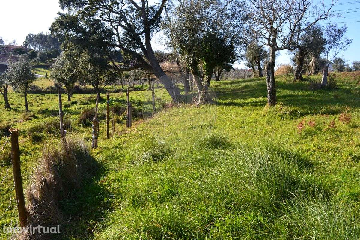 Terreno  para venda - Grande imagem: 3/44