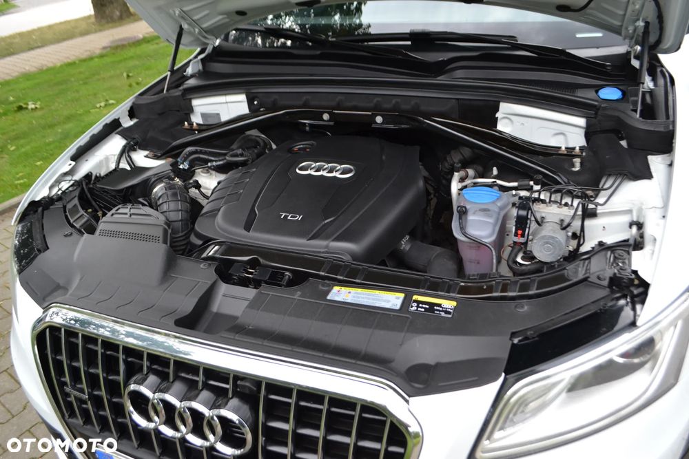 Audi Q5 - 17