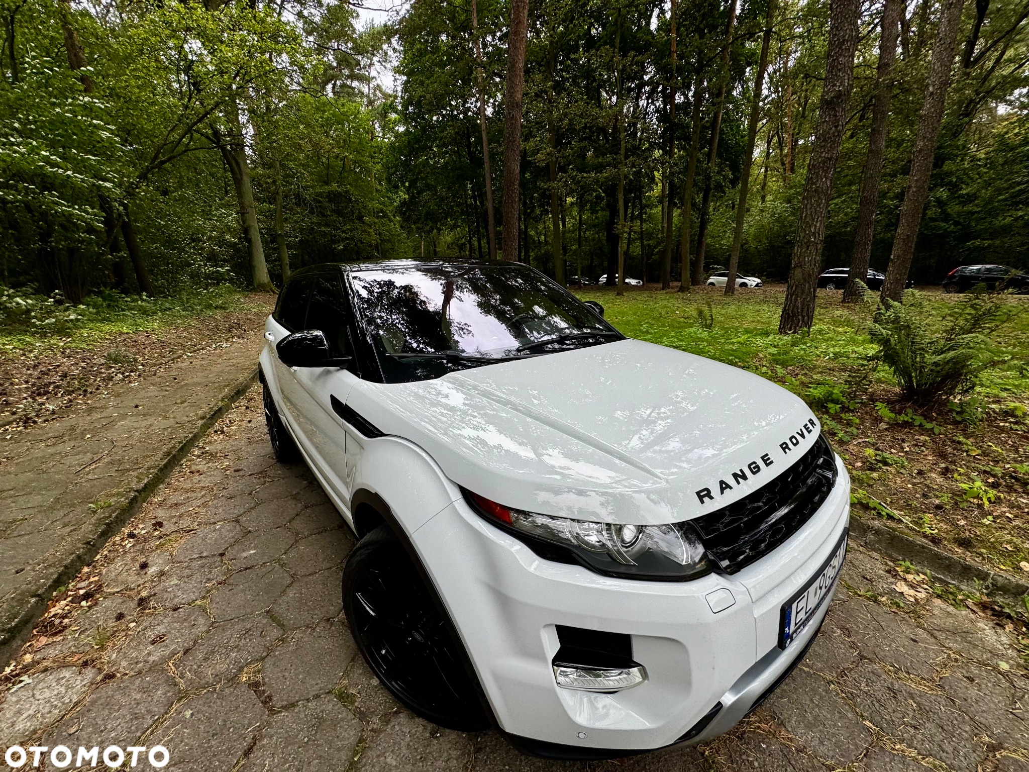 Land Rover Range Rover Evoque 2.0Si4 SE Dynamic - 10