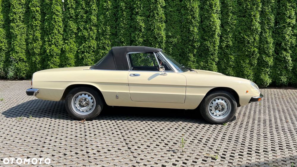 Alfa Romeo Spider - 10