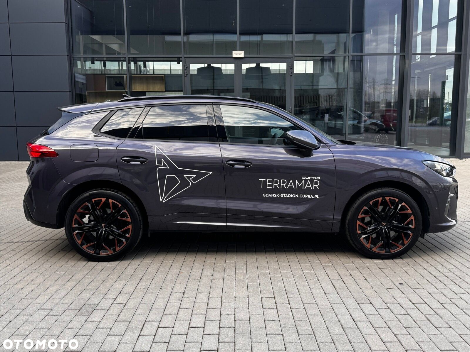 Cupra Terramar - 7