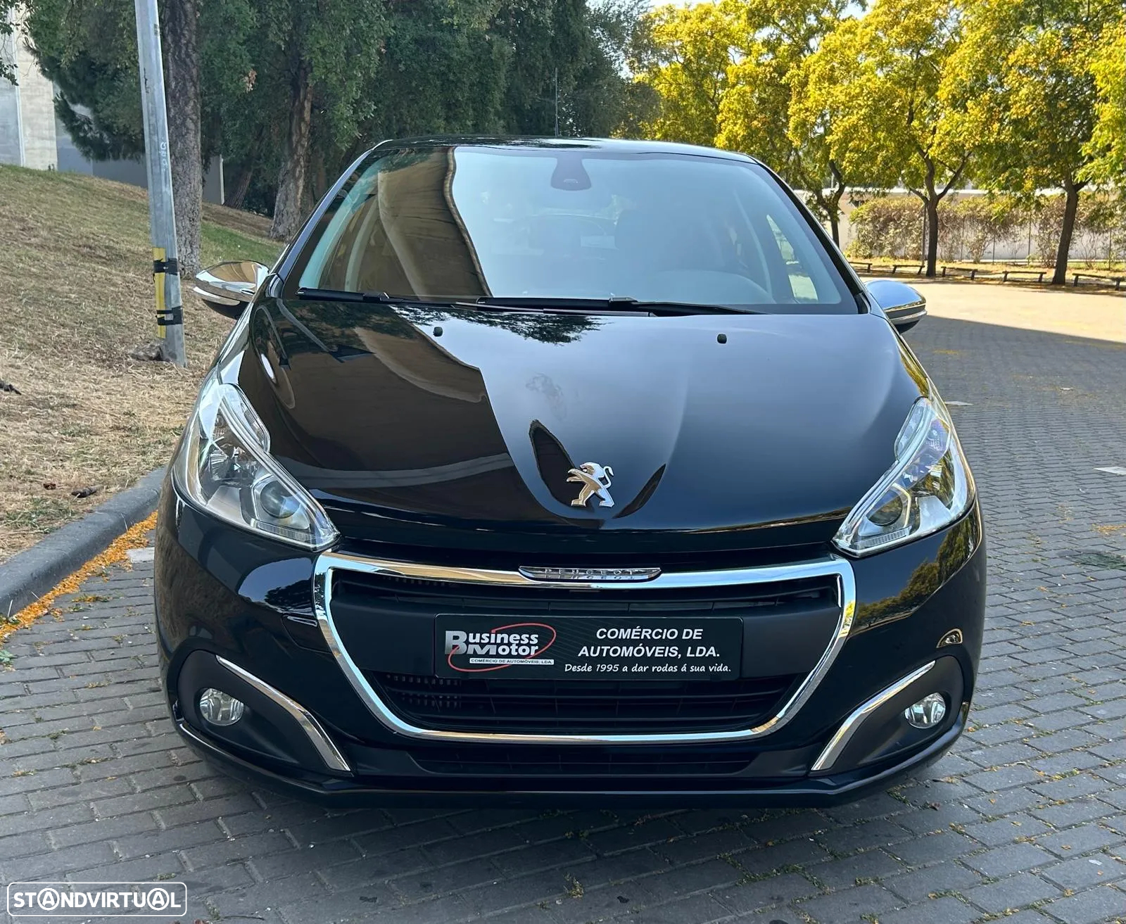 Peugeot 208 1.6 BlueHDi Style - 8