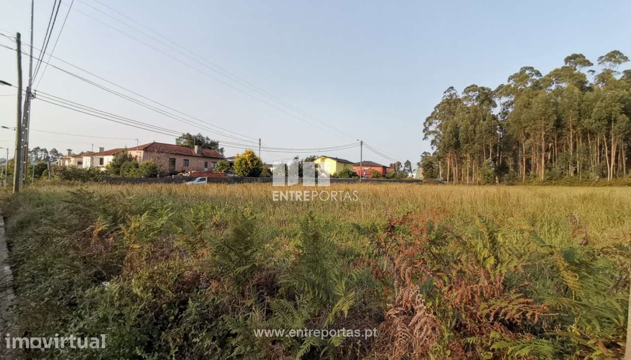 Venda de Terreno com 3000 m2 para construção, Laundos, Póvoa de Var - Grande imagem: 3/10
