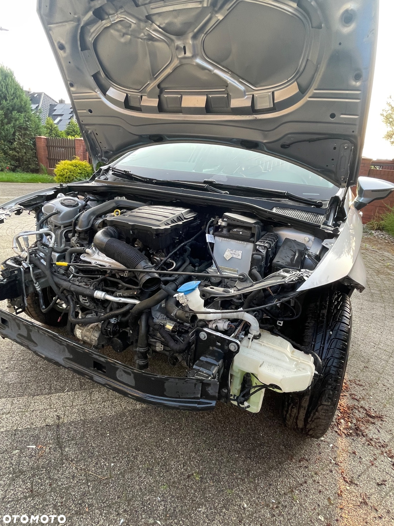 Seat Ibiza - 13
