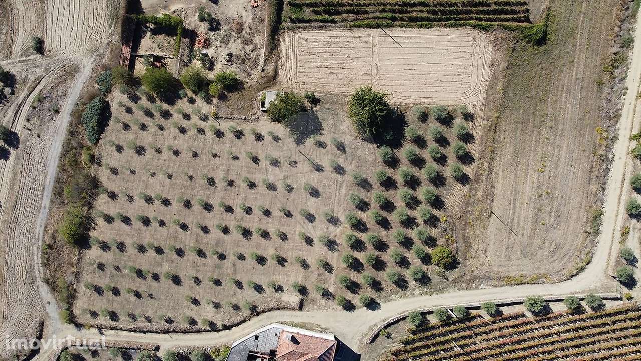 Terreno  para venda - Grande imagem: 2/14