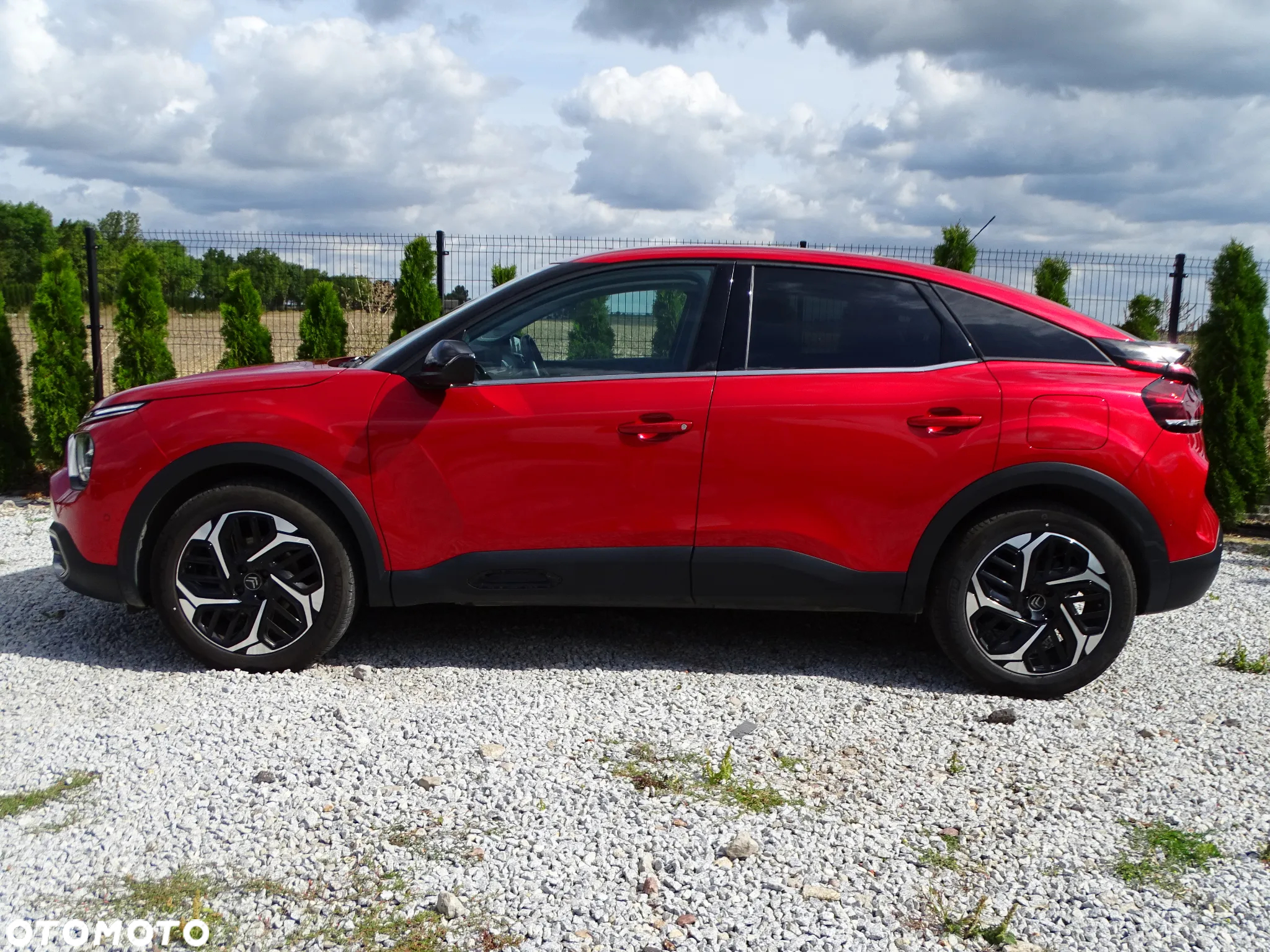 Citroën C4 1.2 PureTech Max S&S EAT8 - 34