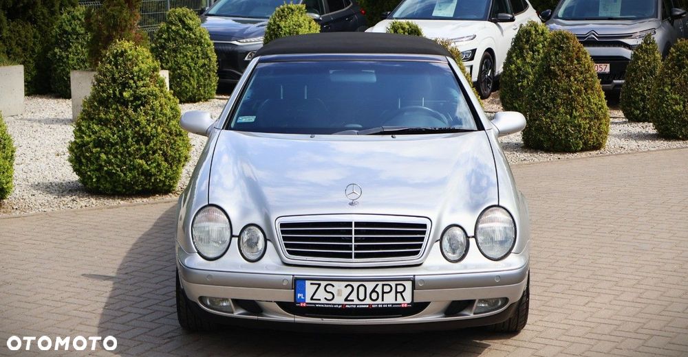 Mercedes-Benz CLK - 19